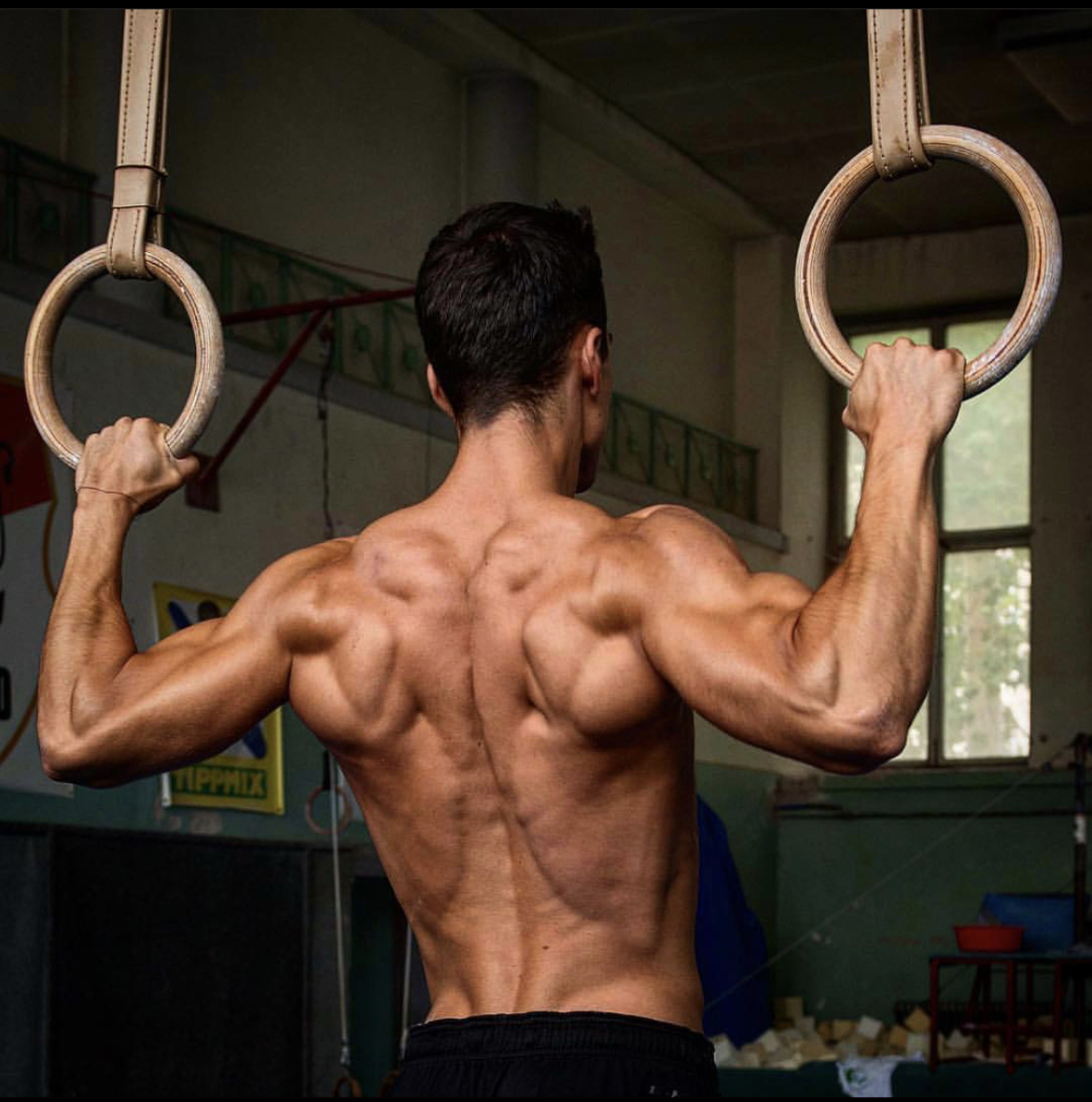 Gymnastics Rings Series